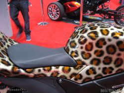 Motorcycle-Show-2014 (14).JPG